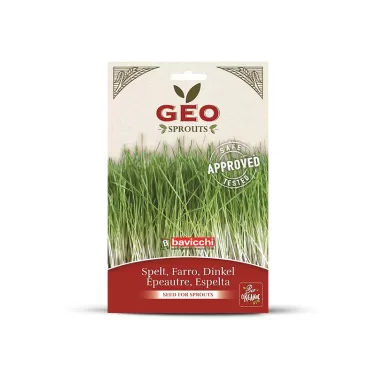 Bavicchi bio tönkölybúza csíráztatáshoz 80 g