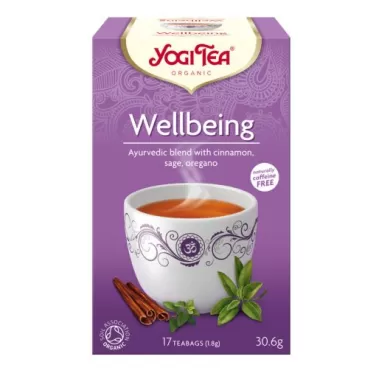 Bio tea jólét 17x1,8g 31 g